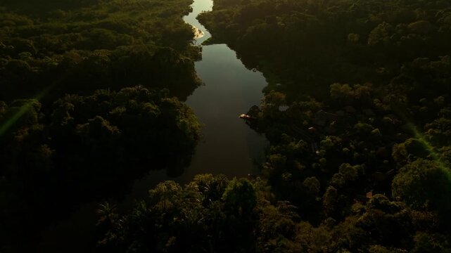 Majestic aerial view flying over a winding river through the lush amazon rainforest at sunset