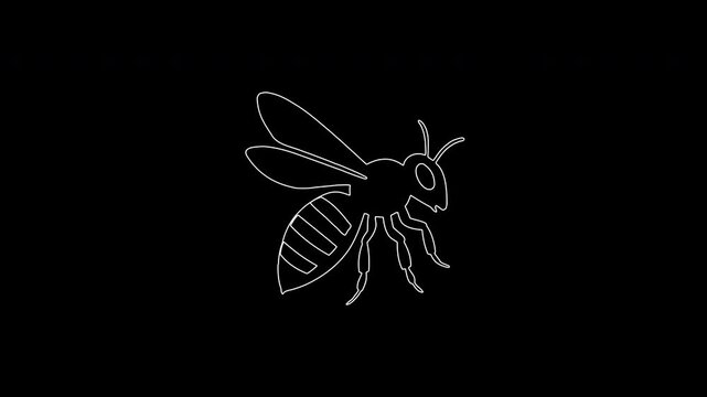 Animated white outline drawing of flying bee