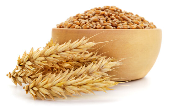 Wheat grains in wooden bowl with ripe wheat ears isolated on white background