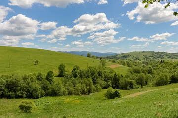 Fototapeta premium Borzhava Valley in the Carpathian Mountains, Summer Landscape