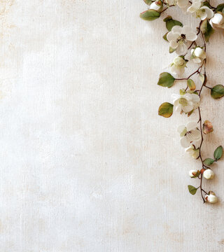 Delicate white flowers with green leaves arranged on textured background create serene and romantic atmosphere