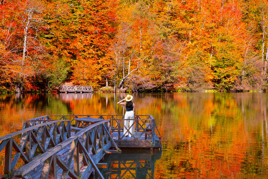 Autumn forest landscape reflection on the water with wooden pier - Autumn landscape in (seven lakes) Yedigoller Park Bolu, Turkey