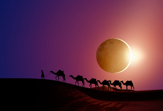Camel caravan in the desert at sunrise - Beautiful sand dunes in the Sahara desert with solar eclipse  - Sahara, Morocco
