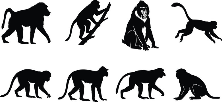 Silhouette Collection of Monkeys and Apes in Various Poses on White Background