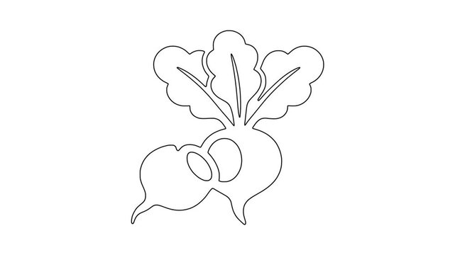 Beetroot bunch with leaves icon animation