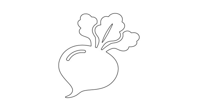 Large beetroot with leafy greens icon animation