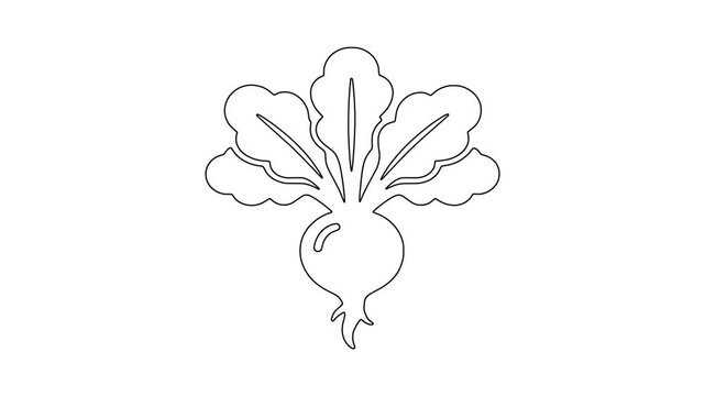 Fresh beetroot with leaves icon animation