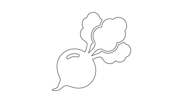 Fresh beetroot icon animation