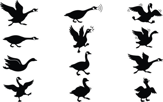 Canada Goose Black Silhouette Vector Set Featuring Wild Bird Elements in Various Poses Flying Running Walking and Squawking For Graphic Designs