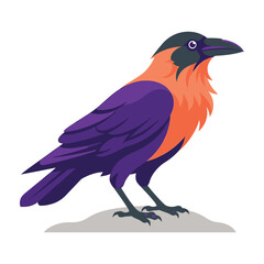Fototapeta premium Vibrant purple and orange bird standing on a rock outdoors
