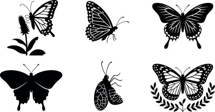 Set of black silhouettes of butterflies and insect vector illustration for design