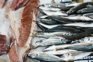 Fresh fish and sardines on ice at fish market © innapaklons