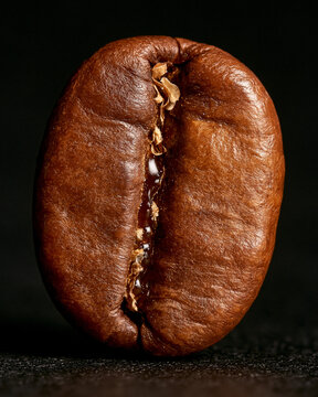 Roasted Coffee Bean Surface Oil Macro