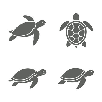 Turtles icons set with different views and styles on white background