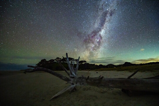 New Zealand - 21 March 2021: View of a fallen tree trunk on a sandy beach under a clear night sky filled with the Milky Way galaxy and bright stars in New Zealand.