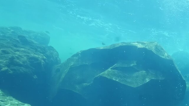 Underwater exploration shows diverse rock formations in clear tropical waters. Light filters through surface, creating patterns on rocks and surrounding sea life. Bubbles rise from sandy bottom.
