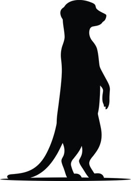 Meerkat standing upright alert silhouette vector graphic illustration with silhouette wildlife standing illustration suricate