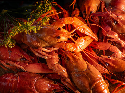 Boiled or steamed crawfish