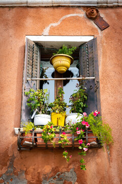 04 October 2022: View of a window with wooden shutters adorned with various potted plants, vibrant pink flowers, and a yellow hanging pot against a textured orange wall.