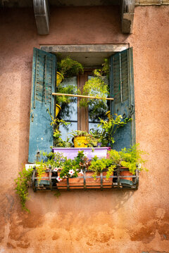 04 October 2022: View of a rustic window with weathered blue shutters and a vibrant window box filled with lush green plants and colorful flowers against a textured terracotta wall.
