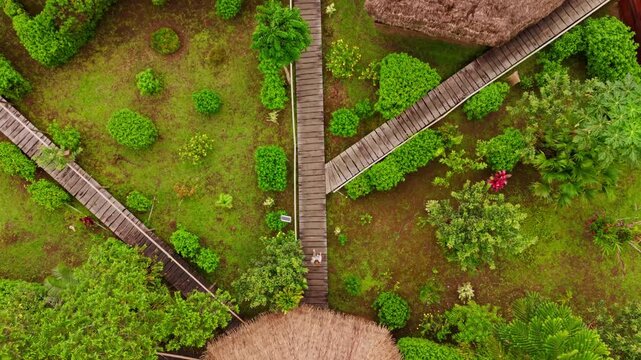 Drone ascending over a traditional village with thatched roof huts in the ecuadorian amazon