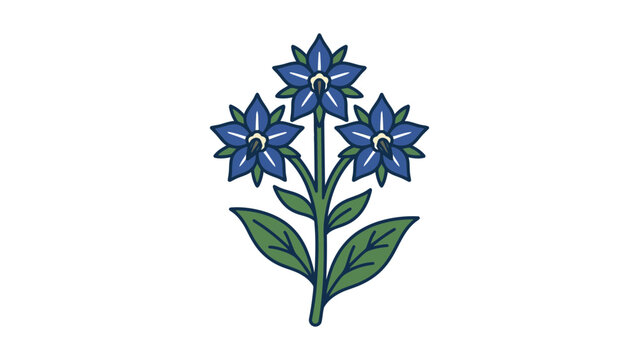 Borage Flower Vector Illustration