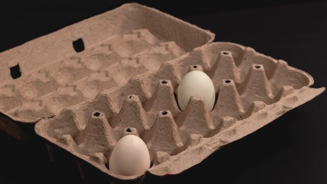 Colorful Farm Fresh Eggs Fill Carton in Stop Motion