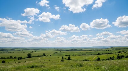 Fototapeta premium Wide Open Clear Summer Horizon with Scattered Fluffy White Clouds sky cloud blue clear bright summer horizon open airy peaceful tranquil serene background backdrop minimalist simple nature travel