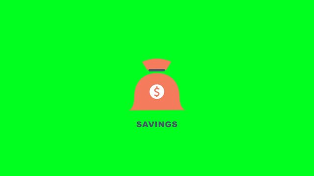 Savings Money Bag on Green Screen