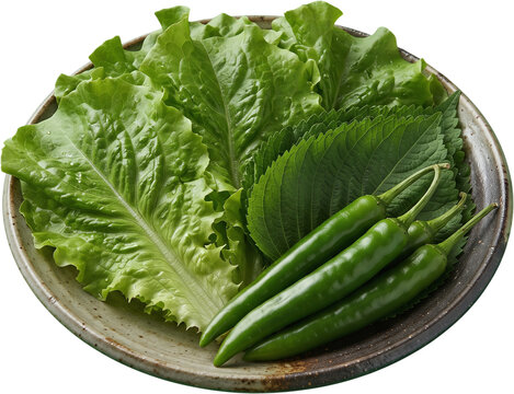 fresh lettuce perilla leaves and green chili peppers isolated cutout