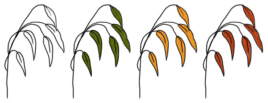 This drawing depicts several plants drawn with colored pencils on a transparent background. The plants come in various shades&mdash;ranging from green to orange.