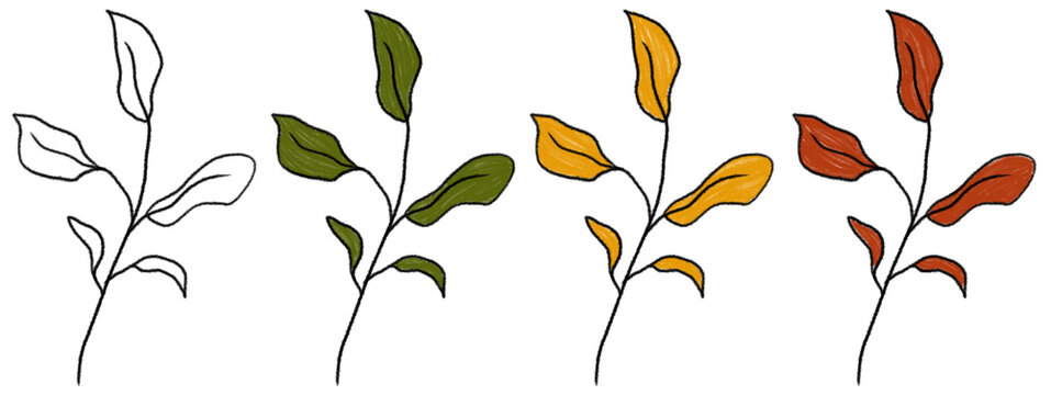 The plants are drawn with colored pencils on a transparent background. The drawings feature leaves of various colors and shapes. Each plant looks unique.