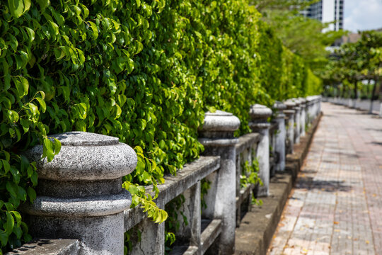 Stone railing lines a pathway surrounded by vibrant green foliage, creating a natural barrier. The scene is set in an urban park with buildings visible in the background and a clear sky