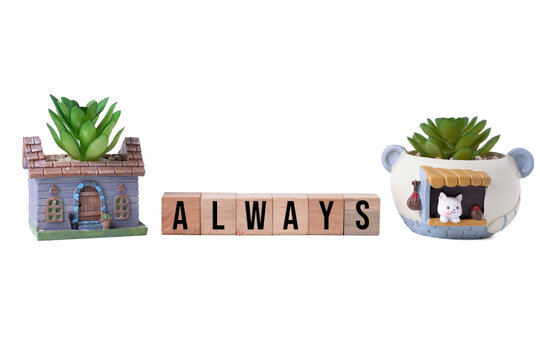 ALWAYS word written on wooden blocks with small artificial potted plants isolated on white background
