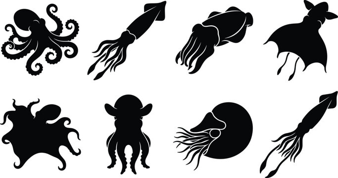 Collection of Cephalopod Silhouettes Featuring Octopus, Squid, Cuttlefish and Nautilus for Marine Life and Educational Design