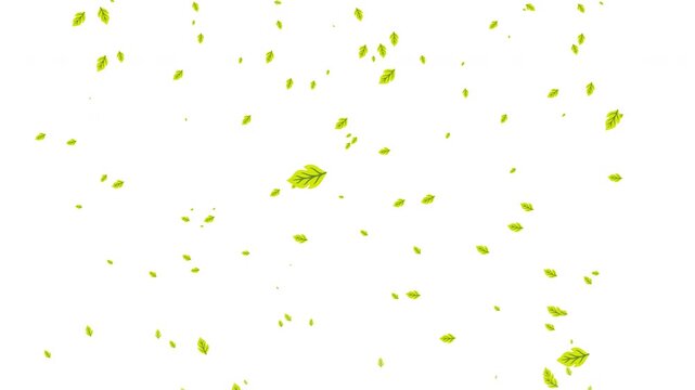 Yellowish Green Leaves Blowing Motion Background Prores Alpha 4K 60 fps
