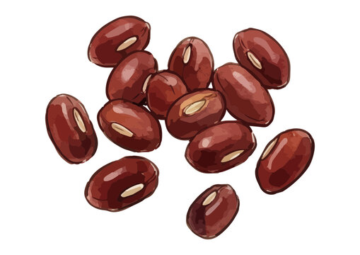 Fresh and Appetizing Azuki Red Bean Illustration with Glossy Texture／シズル感のあるみずみずしい小豆のイラスト
