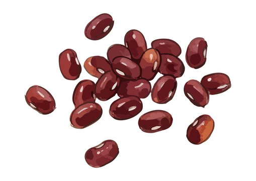 Fresh and Appetizing Azuki Red Bean Illustration with Glossy Texture／シズル感のあるみずみずしい小豆のイラスト