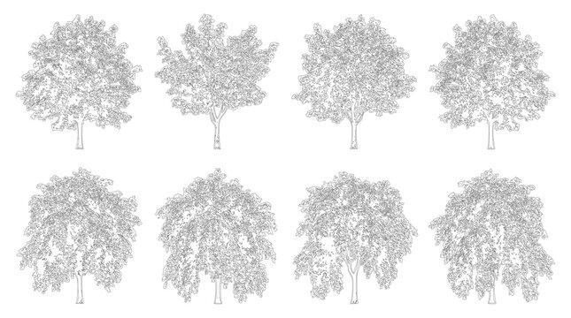Set of isolated black and white tree silhouettes for architectural landscape design.