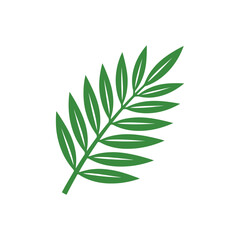 Fototapeta premium Minimalist green palm leaf botanical illustration.