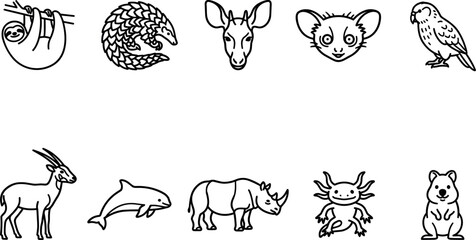 Naklejka premium Endangered wild animal icon set featuring minimal line art illustrations of sloth pangolin rhinoceros axolotl quokka dolphin and exotic wildlife conservation elements