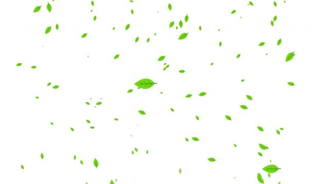 Vibrant Lime Leaves Particle Overlay Loop Prores Alpha 4K 60 fps