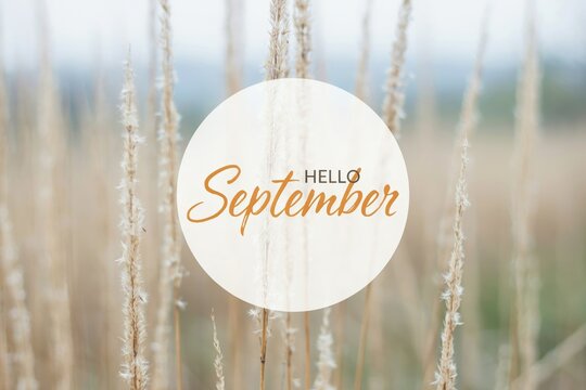Hello september