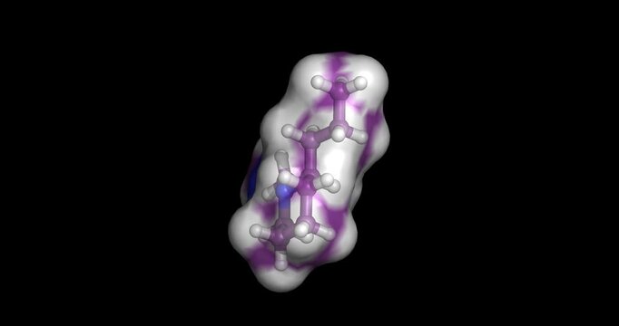 Methylconiine (N-Methylconiine), toxic piperidine alkaloid and major neurotoxin found in poison hemlock (Conium maculatum), 3D molecule spinning, 4K