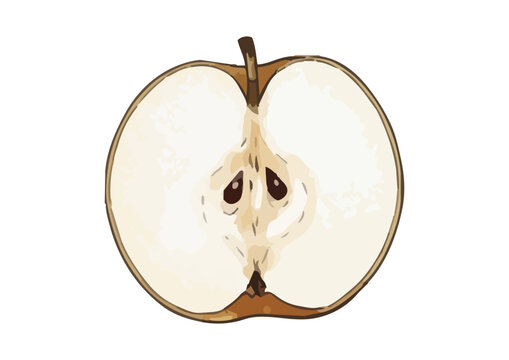 Fresh and Juicy Japanese Pear Illustration with Appetizing Texture／みずみずしくシズル感のある和梨のイラスト