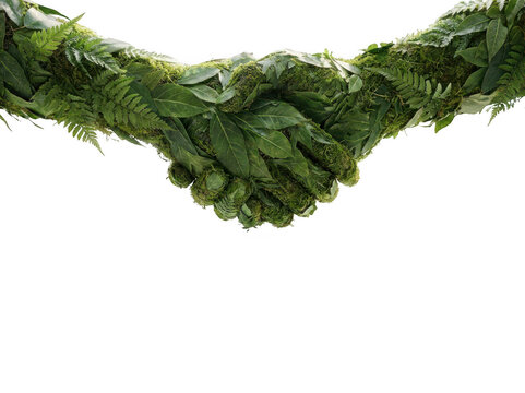 Two hands made of green leaves and moss shaking hands isolated on transparent background