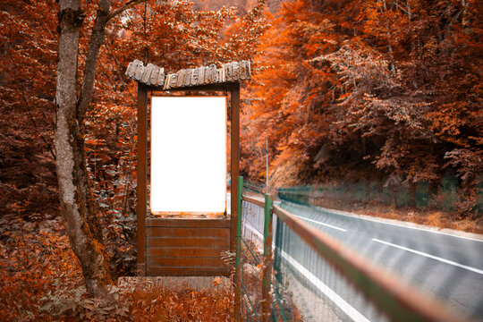 Old wooden billboard with white empty blank in the forest near asphalting road. Autumn time.