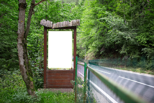 Old wooden billboard with white empty blank in the forest near asphalting road. Summer time.