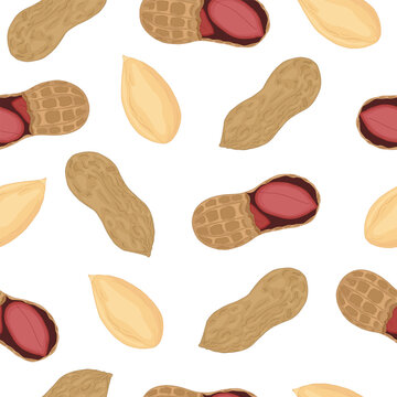 Seamless colorful vector pattern of peanuts on white background. Design for nut chocolate, peanut butter and nut products packaging