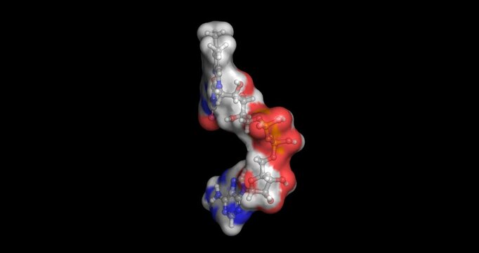 Flavin adenine dinucleotide (FAD), essential redox cofactor acting as an electron acceptor in numerous enzymatic metabolic reactions, 3D molecule spinning, 4K